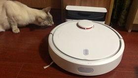 群众吃瓜扫地视频,网友热议生活新风尚