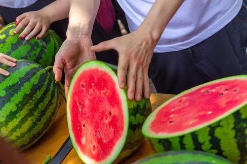 瓜瓜学院吃瓜,揭秘校园里的“吃瓜”文化