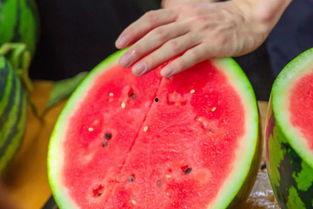 瓜瓜学院吃瓜,揭秘校园里的“吃瓜”文化