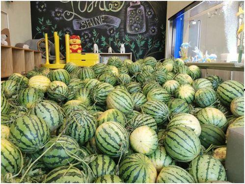 今天吃瓜邯郸,今日吃瓜大揭秘