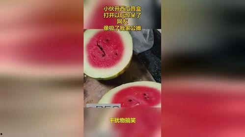 吃瓜的盲盒,一场视觉与心理的双重盛宴