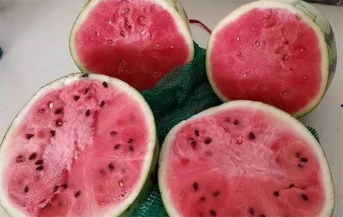 云南麒麟瓜必吃,必尝的甜蜜诱惑