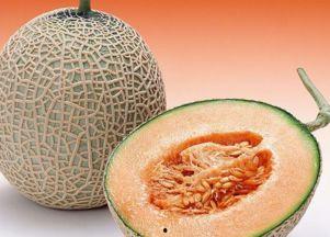 普通人可以吃哈密瓜吗,适合普通人享用的美味水果
