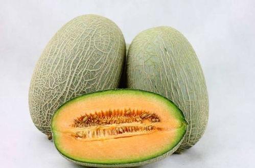 普通人可以吃哈密瓜吗,适合普通人享用的美味水果