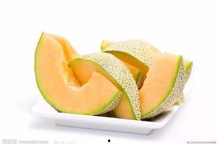 酷酷吃哈密瓜,夏日消暑新风尚