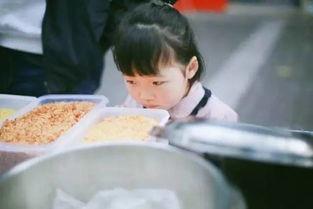 淘淘妈 吃瓜,揭秘娱乐圈那些不为人知的幕后故事