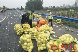 垦利吃瓜群众,揭秘当地生活百态