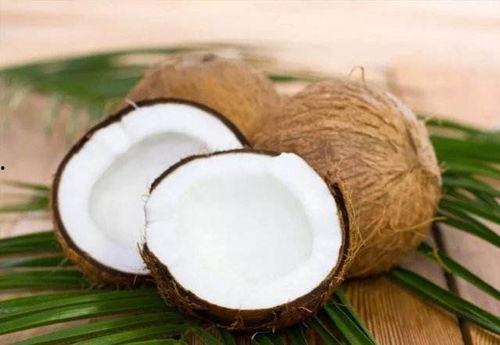 呆瓜吃椰子,一场欢乐的椰子探索之旅