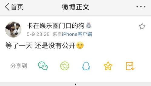 周一吃瓜公众号,揭秘娱乐圈最新热点事件