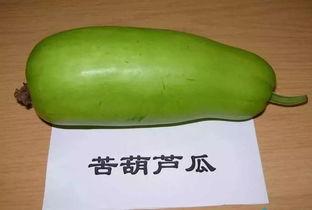 吃葫芦瓜视频素材,一窥家常烹饪的奥秘