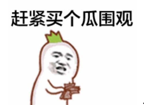 吃瓜表情如何获得,网络热词背后的文化现象