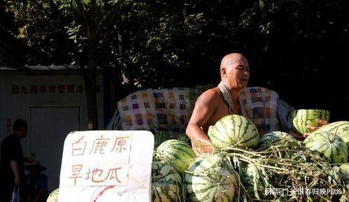 吃瓜的人在乎卖瓜的人吗,吃瓜群众与卖瓜人的微妙关系