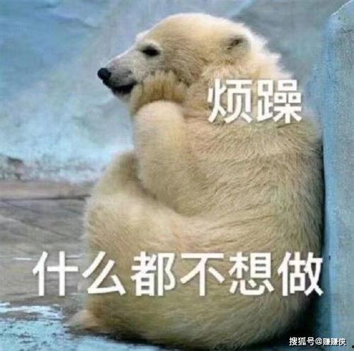 吃瓜群众害羞图片,捕捉那一刻的纯真瞬间