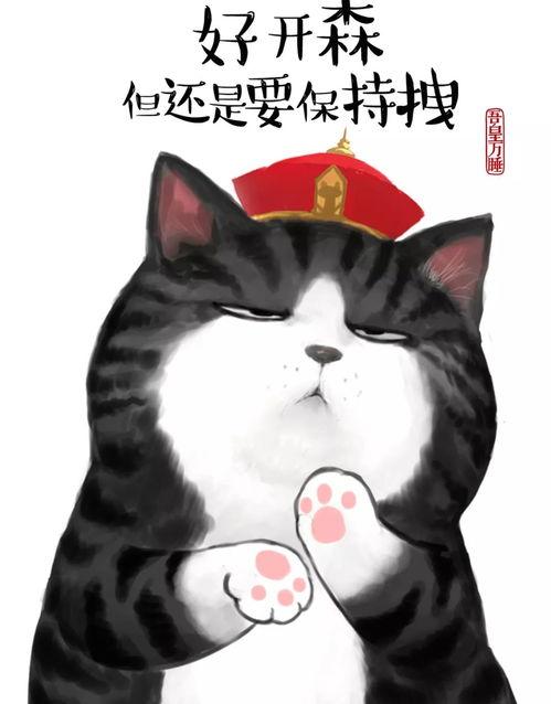 吾皇猫图片吃瓜,萌态十足！