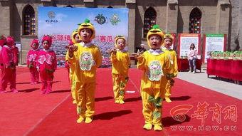 吃瓜届小aa,吃瓜小达人aa带你领略娱乐圈风云变幻