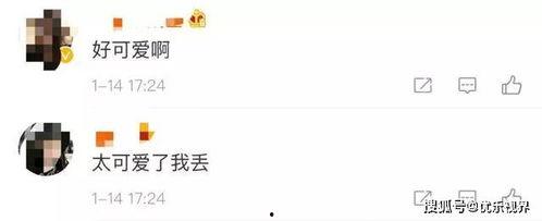 微信吃瓜图文,一场视觉盛宴背后的故事