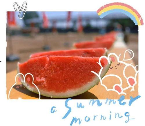 帝尊现场吃瓜,揭秘宫廷秘闻