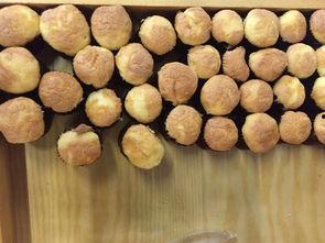 茂名酒店吃瓜,一场别开生面的吃瓜盛宴