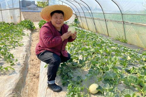 某林在线吃瓜,揭秘娱乐圈幕后真相