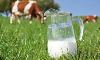 奶粉小怡吃的瓜,探寻瓜果与营养的完美融合