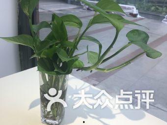 白雪密瓜怎么吃,解锁夏日清新美味