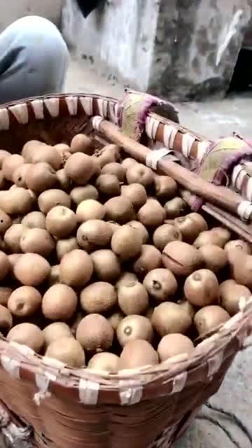 野生毛瓜可以吃吗,可食用还是未知之谜？