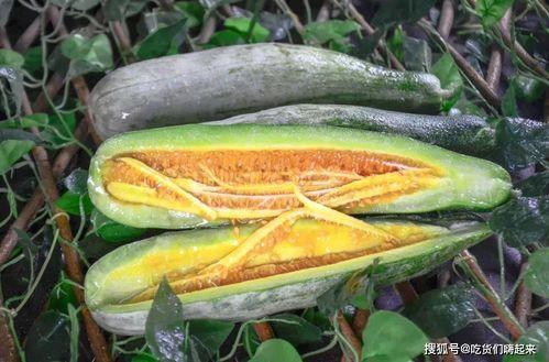 白心瓜怎么吃,探索美味与营养的完美结合