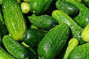 做梦梦到抢瓜吃瓜,瓜田抢瓜的奇幻之旅