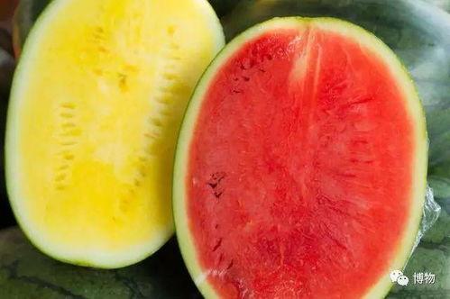 吃瓜图片高级,揭秘高级吃瓜图背后的时尚潮流