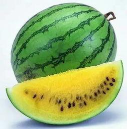 吃瓜技巧实用攻略,掌握实用攻略，轻松成为瓜界达人