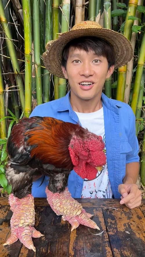 吃瓜挑战图片,揭秘网络热图的幕后故事