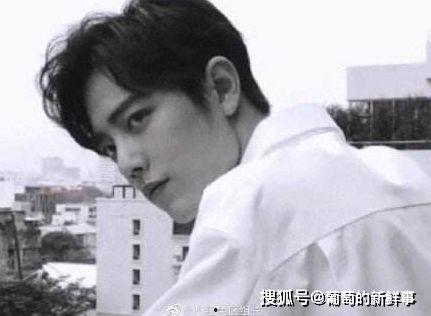 陈情令见面吃瓜,明星互动吃瓜，粉丝狂欢不止！