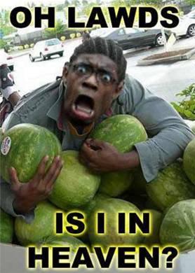 吃瓜罗伯特是谁,网络红人的崛起与影响力