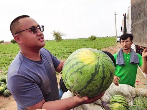 假装吃瓜聊天,一场假装吃瓜的趣味聊天盛宴