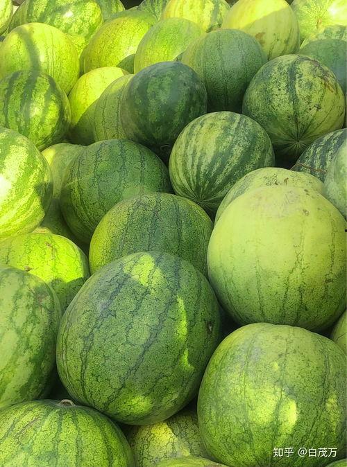 便秘可以吃籽瓜吗,缓解便秘的天然良方