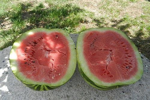 梦到吃若瓜,若瓜美食之旅