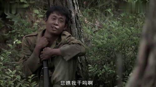 郑直吃龙瓜,揭秘神秘龙瓜之谜