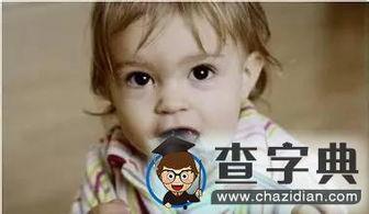 宝宝长牙吃瓜,如何科学选择瓜类食物助力健康成长