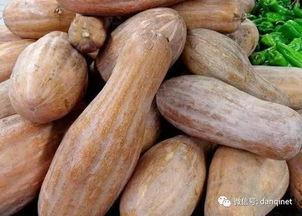 新型方瓜怎么吃,创新烹饪指南