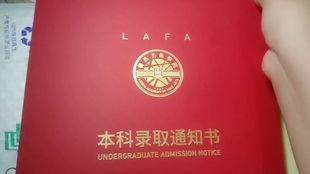 吃瓜的猹呀,吃瓜群众视角下的社会百态