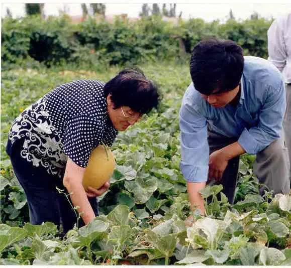 辽科院吃瓜,揭秘校园热点背后的真相