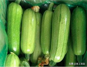 西葫芦瓜整吃,营养美味一网打尽