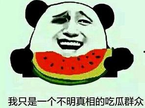 吃瓜群众怎么炼成的,揭秘网络舆论场的演变之路