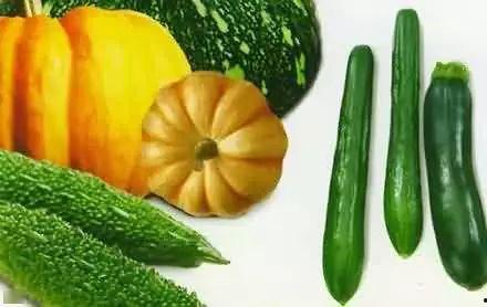 彩马吃瓜,揭秘马儿美食新风尚