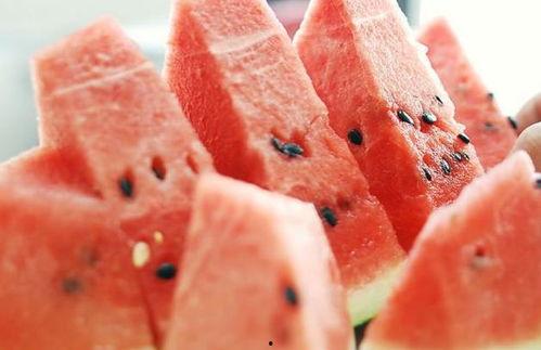 吃瓜吐马籽,品味生活百态