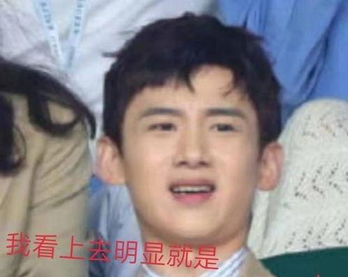 瓜地吃瓜白敬亭