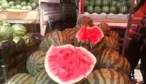 100斤吃瓜群众,揭秘100斤吃瓜群众的独特生活