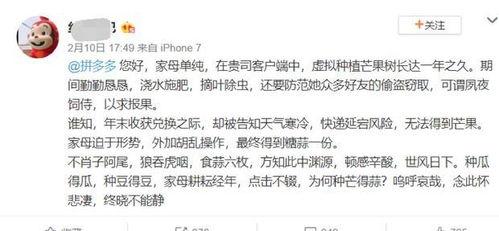 吃瓜小说古文,古风吃瓜小说的趣味解读