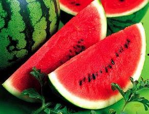 怎么学习吃瓜,掌握学习新姿势