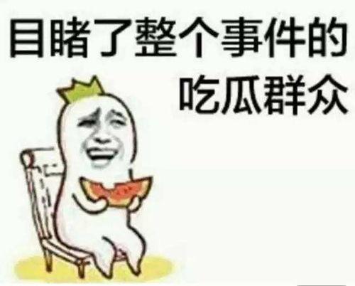 带你吃瓜讲卡农,卡农背后的故事与魅力